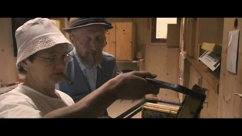 Watch film More Than Honey — Trailer "Un mondo in pericolo" (More than honey)