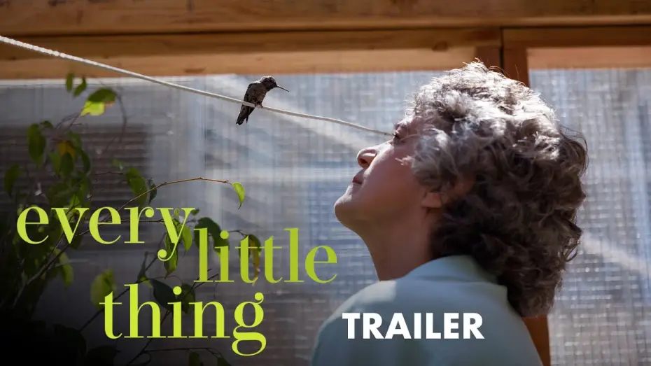 Watch film Every Little Thing — Trailer