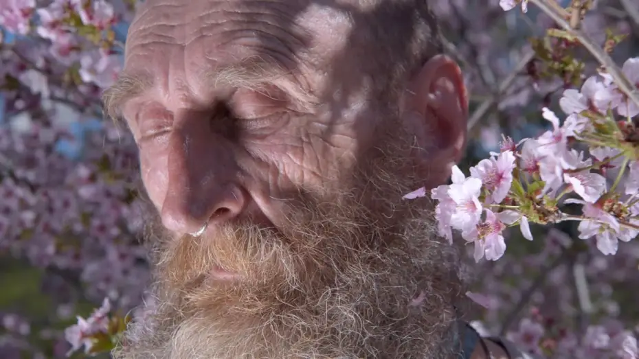 Watch film A Man Imagined | Trailer