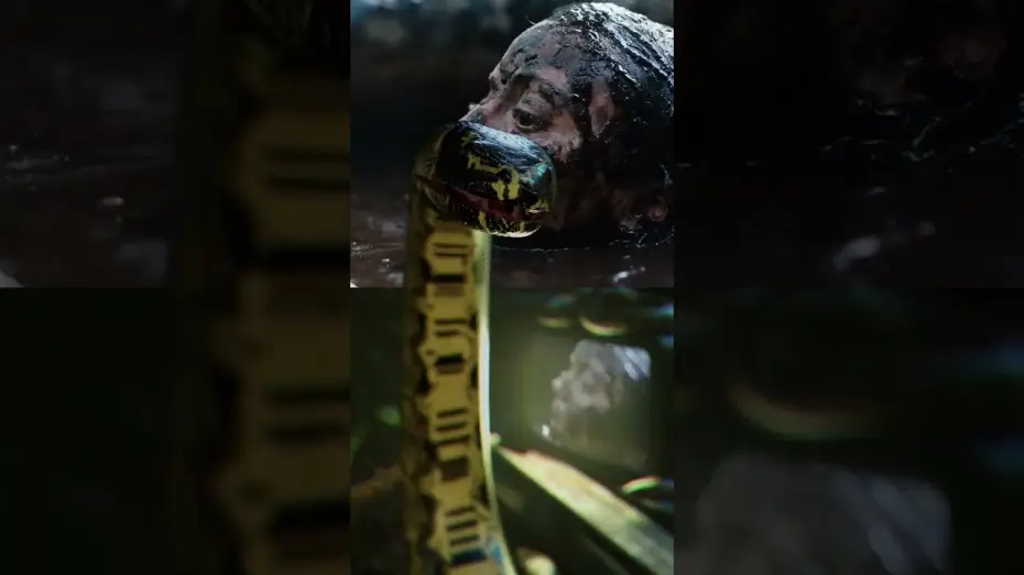 Watch film Beware Boiúna — The reactions are in…