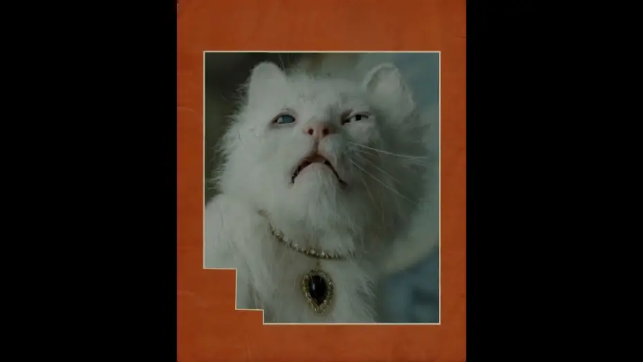 Watch film Digger — His darlin’ girl, Maggie.