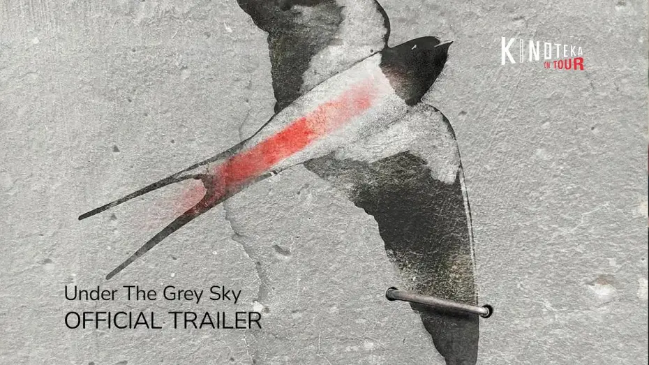 Watch film Under the Grey Sky | Official Trailer | Kinoteka On Tour 2025