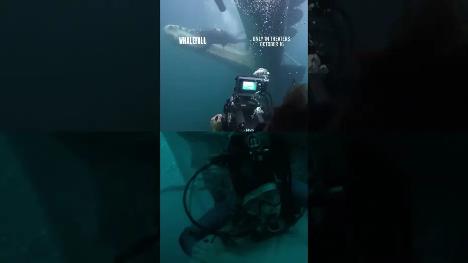 Watch film Whalefall — how does Austin keep getting himself into these situations