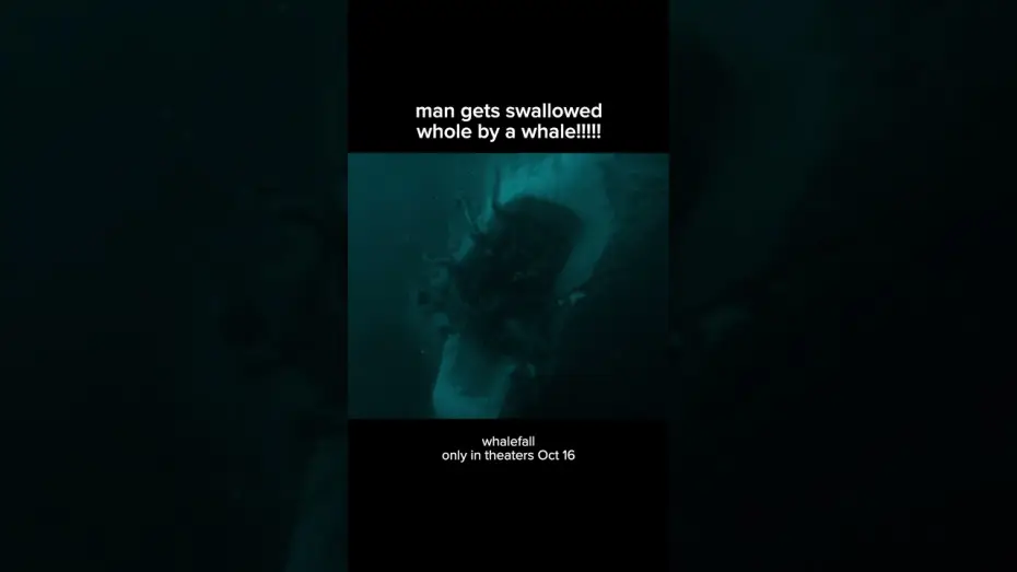 Watch film Whalefall — thats gonna leave a bruise