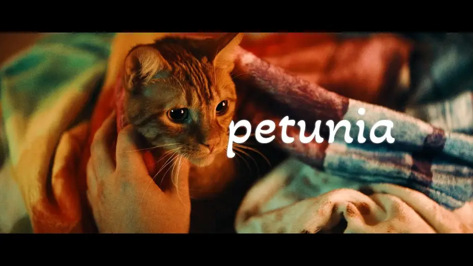 Watch film Petunia — Petunia Trailer