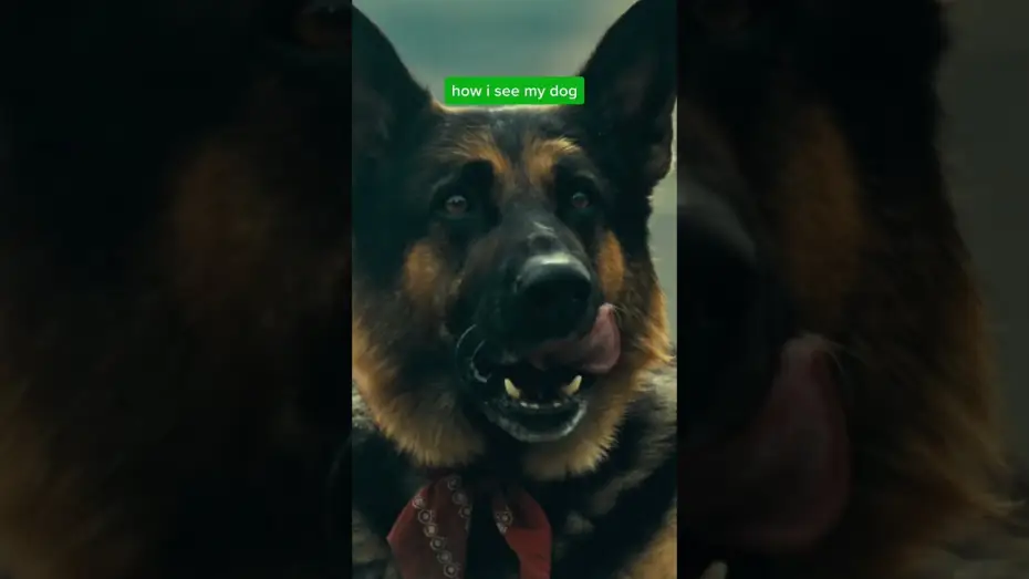 Watch film Heart of the Beast — You’ll fall in love with Odin, too.