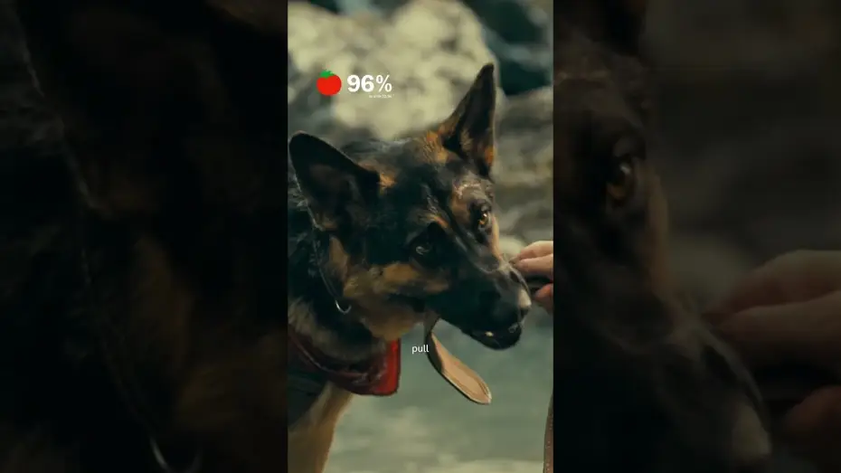 Watch film Heart of the Beast — Shaun