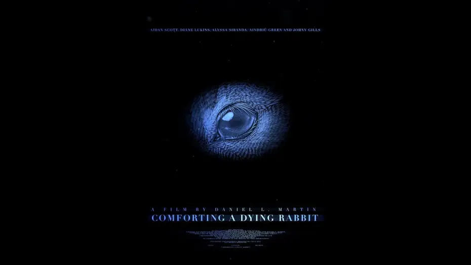 Watch film Comforting A Dying Rabbit — Comforting A Dying Rabbit - Trailer