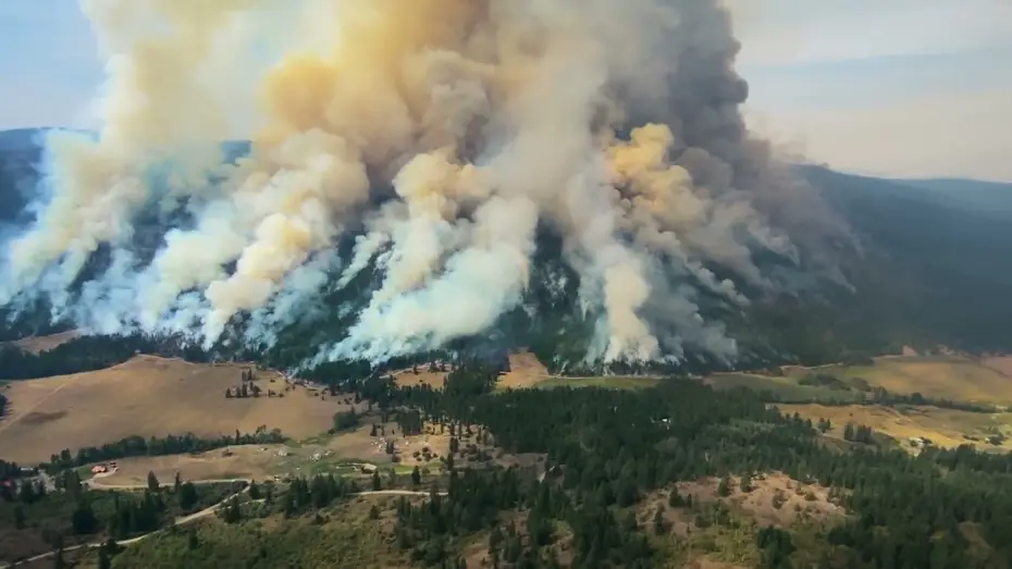 Watch film Fire Tower — Fire Tower   Trailer 1080p