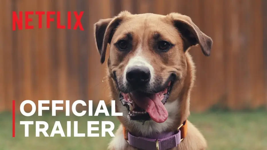 Watch film Inside the Mind of a Dog — Official Trailer