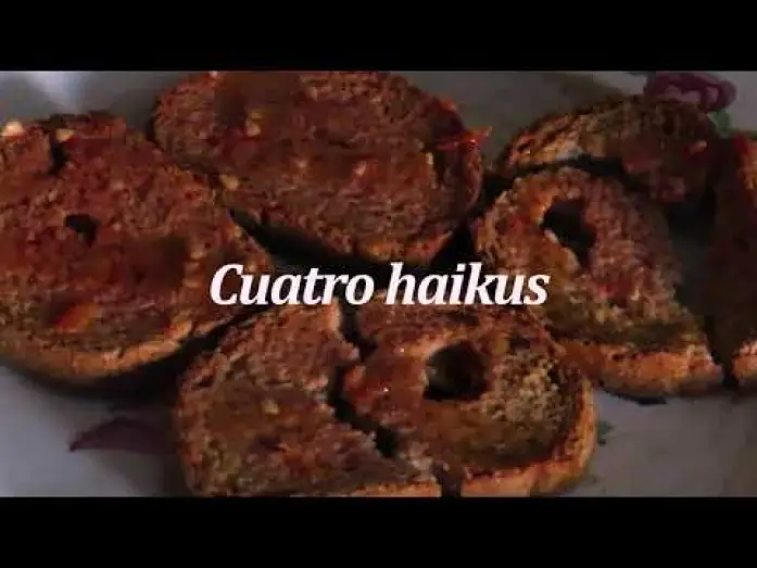 Watch film Four Haikus — Cuatro Haikus (Guillermo Amengual, 2023)