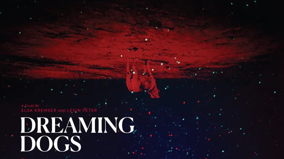 Watch film Dreaming Dogs | Trailer DREAMING DOGS (Elsa Kremser & Levin Peter) OmdU