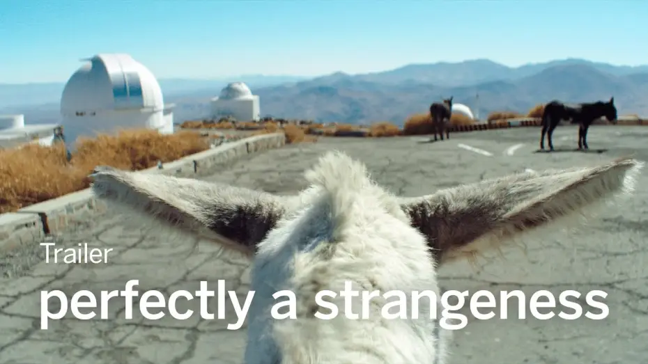 Watch film Perfectly A Strangeness | PERFECTLY A STRANGENESS Trailer | TIFF 2024