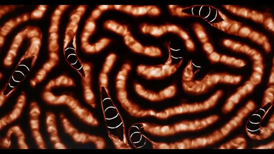 Watch film In my sleep, I swallow you — Dans mes rêves, je t'avale cru - Brèves D'Images 2025