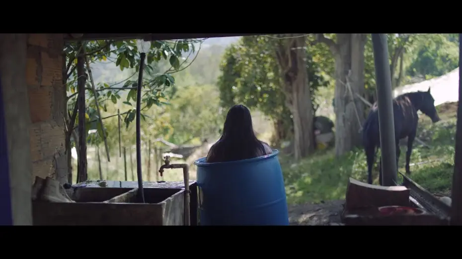 Watch film The Cowboy | El Vaquero trailer