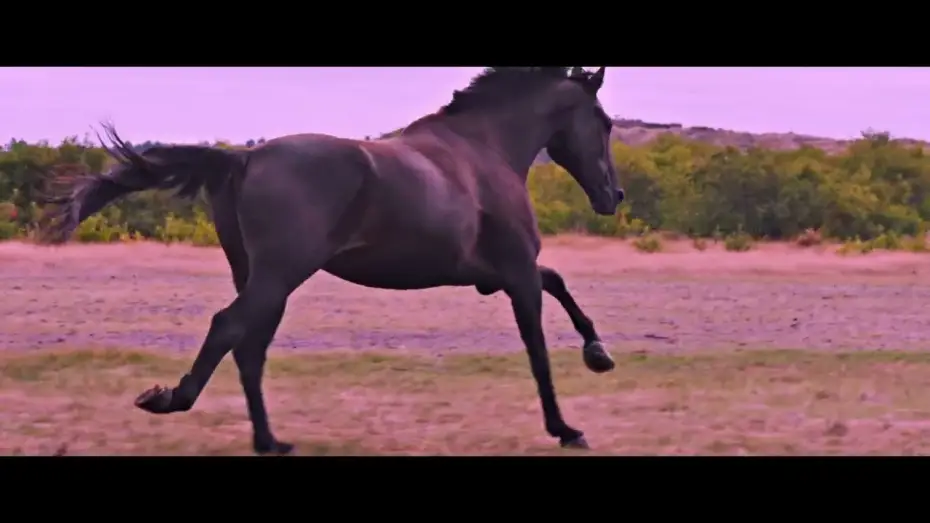 Watch film No horses on Mars — Trailer