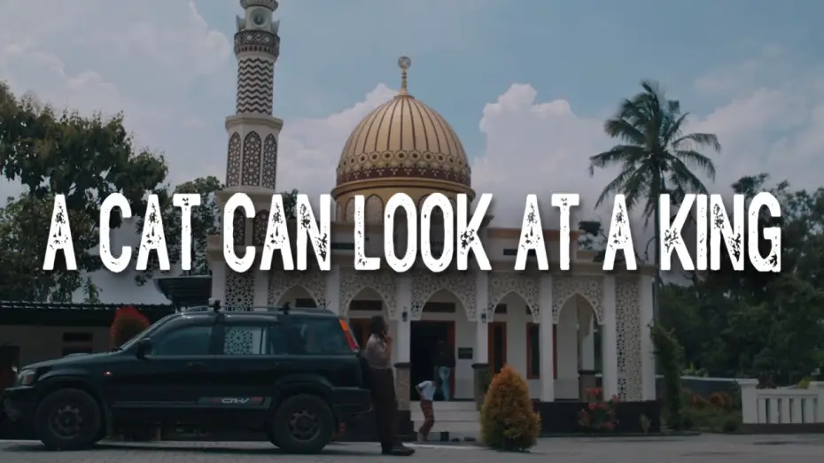 Watch film A Cat Can Look at a King | Trailer A CAT CAN LOOK AT A KING - Official Selection JAFF (Jogja-NETPAC Asian Film Festival) 2024