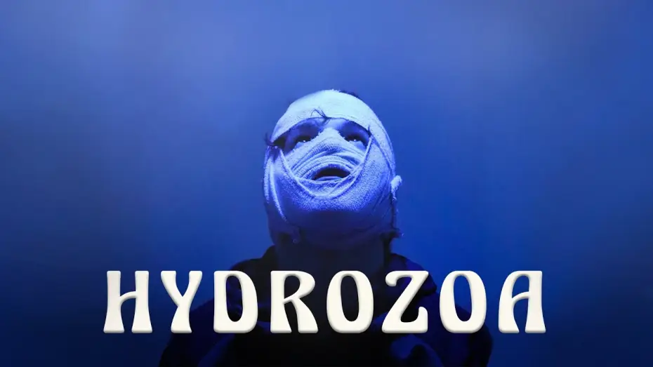 Watch film Hydrozoa — Hydrozoa