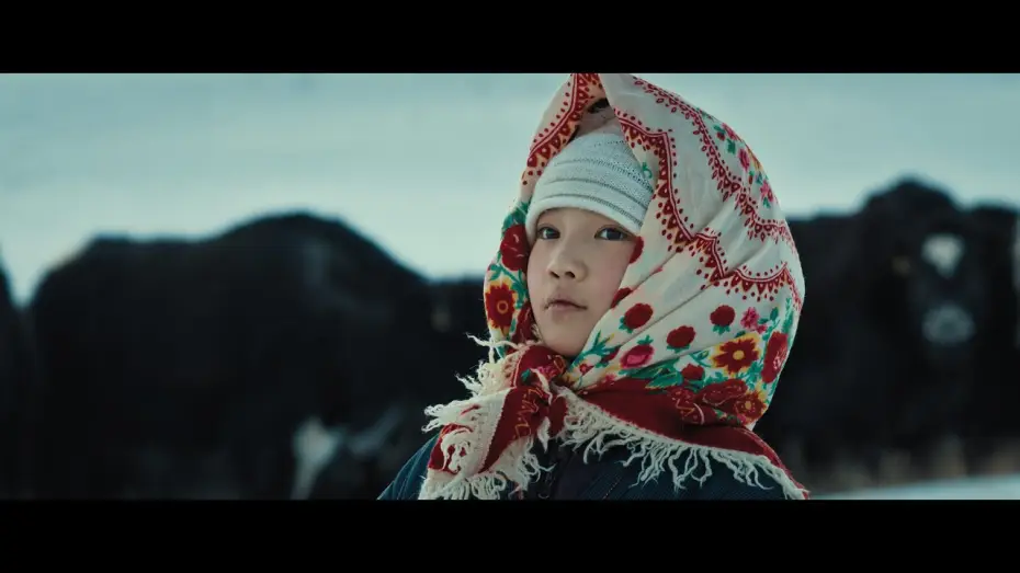 Watch film The Mountain Wagtail — Official Trailer