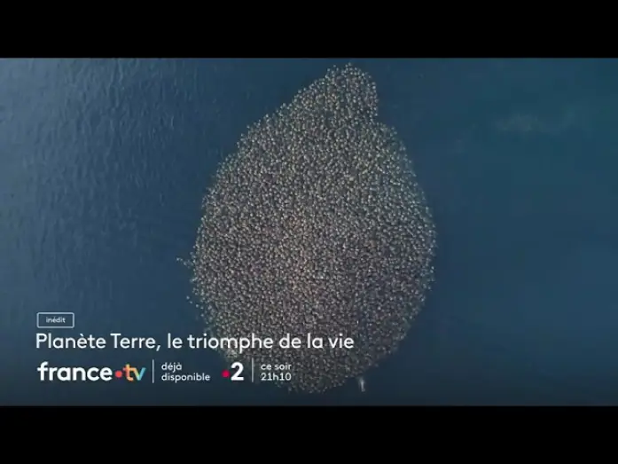 Watch film Planète Terre, héros de la nature — [ Bande annonce ] Planète Terre, le triomphe de la vie