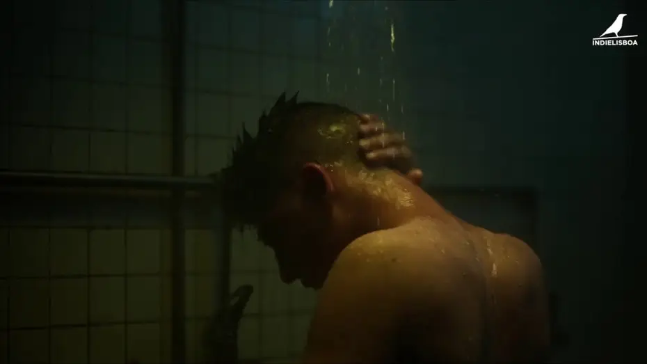 Watch film Para Sempre C&aacute; | PARA SEMPRE C&Aacute; de Daniel Borga (2023) &ndash; trailer