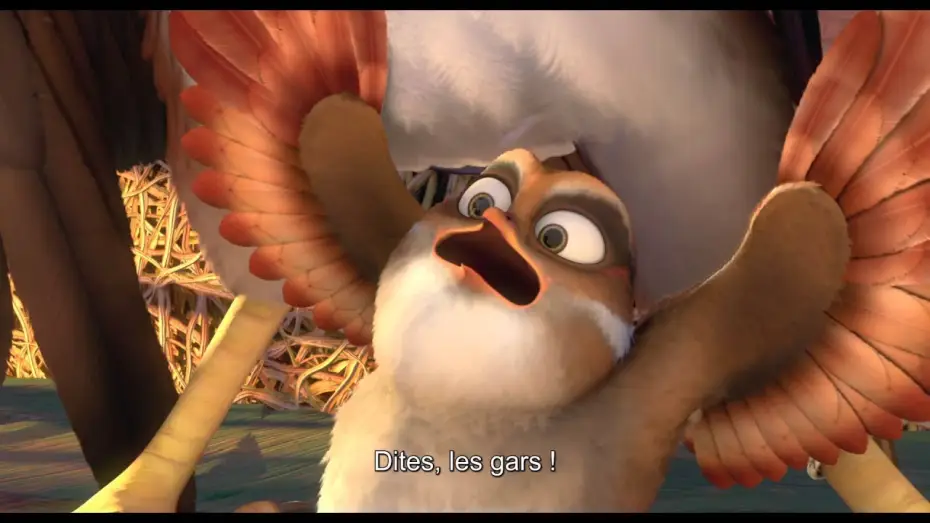 Watch film Zambezia — DRÔLES D'OISEAUX Bande Annonce VOST