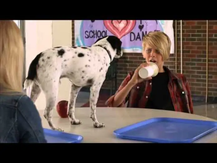 Watch film Vampire Dog — Trailer