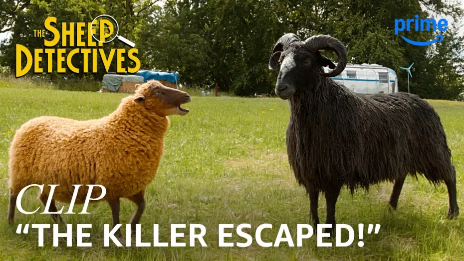 Watch film The Sheep Detectives — Lily & the Other Sheep Begin Their Muder Investigation - Clip