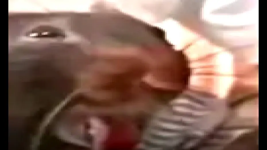 Watch film Verguizas Cabronas | Burping Rat Meme from Afffirmations