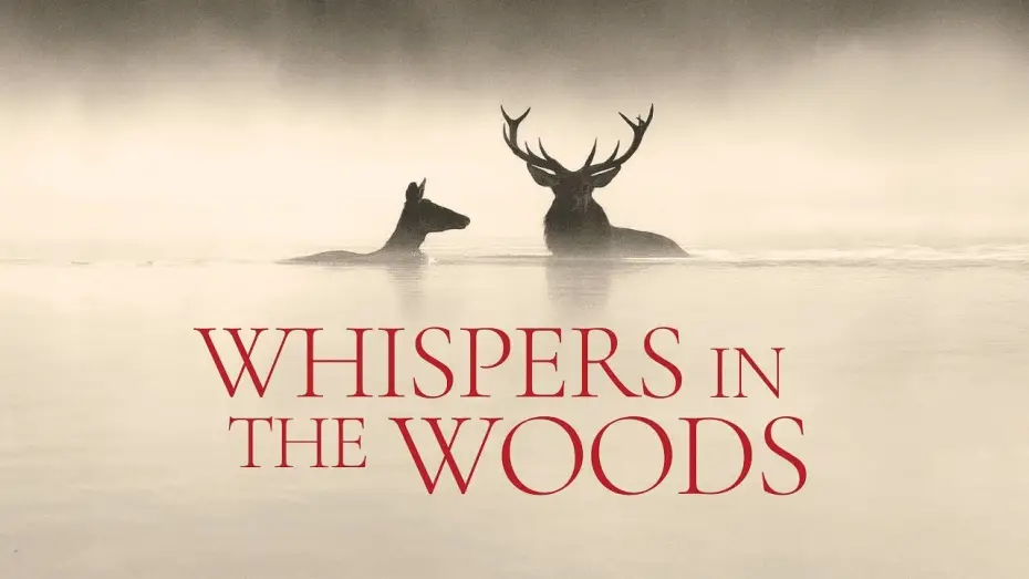 Watch film Whispers in the Woods — Official Trailer [Subtitled]