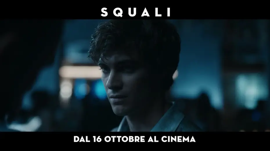 Watch film Squali | SQUALI -  dal 16 ottobre al cinema &ndash; Trailer ufficiale