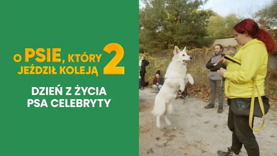 Watch film The Travelling Dog 2 — Dzień z życia psa celebryty