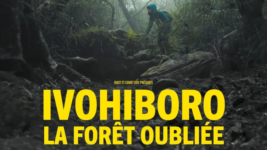 Watch film Ivohiboro, la forêt oubliée — Ivohiboro, la forêt oubliée - bande annonce