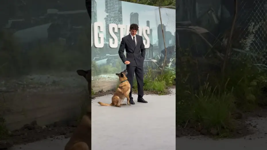 Watch film The Dog Stars — In Theaters August 28