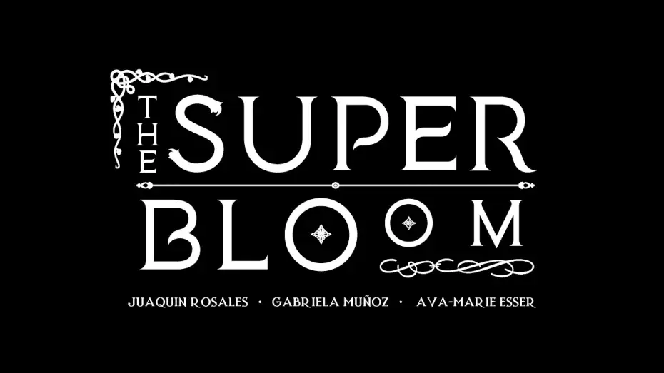 Watch film The Superbloom — Superbloom Full Trailer