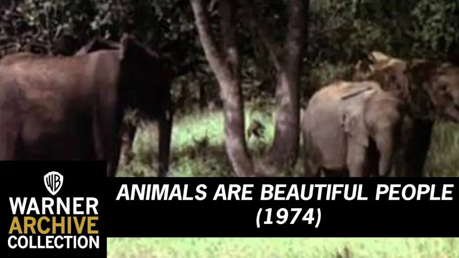 Watch film Animals Are Beautiful People — Animals Are Beautiful People (Original Theatrical Trailer)