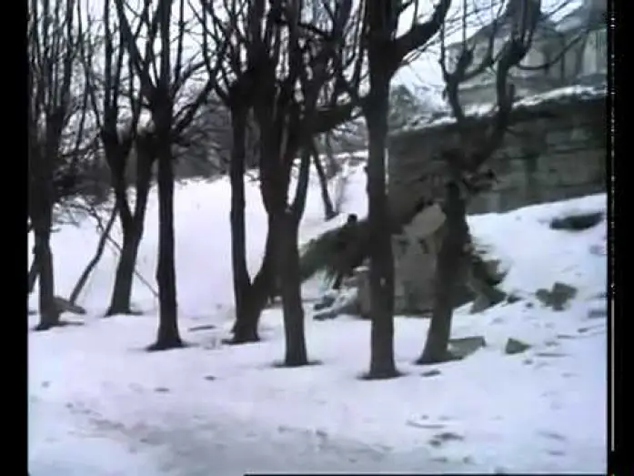 Watch film Savage Hunt of King Stakh — Отрывок из к-ф "Дикая охота короля Стаха"