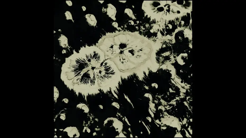 Watch film Karyokinesis — Karyokinesis - Carlos Lacasa & Pedro Roldán