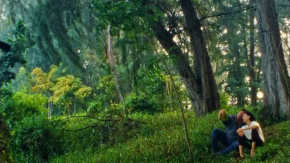 Watch film Durian, Durian — Durian, Durian - trailer | IFFR 2025
