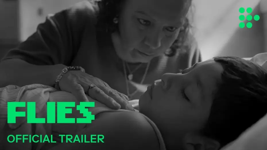 Watch film Flies — Official Trailer [Subtitled]