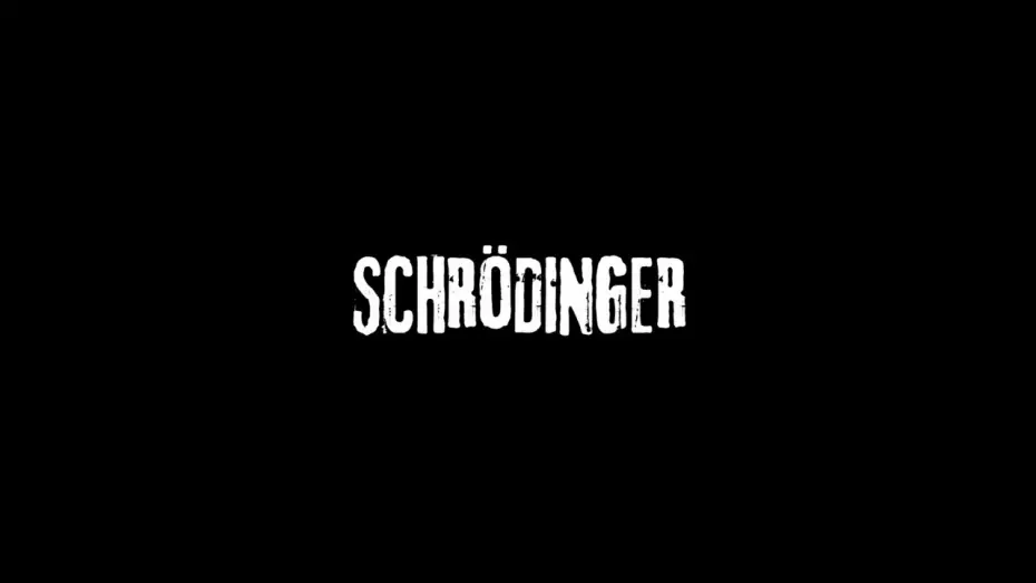 Watch film Schrödinger — SCHRÖDINGER (2024) - TEASER