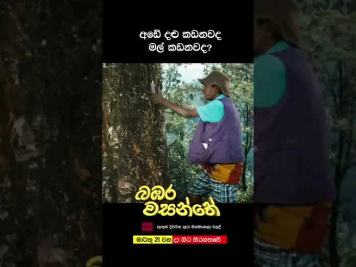 Watch film Bambara Wasanthe | අඩේ දළු කඩනවද මල් කඩනවද?!!?