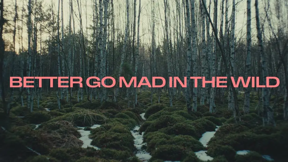 Watch film Better Go Mad in the Wild — BETTER GO MAD IN THE WILD (trailer)