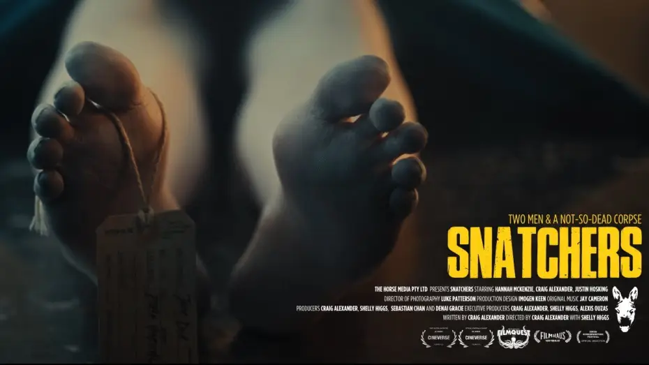 Watch film Snatchers — SNATCHERS  (2025) | OFFICIAL TEASER