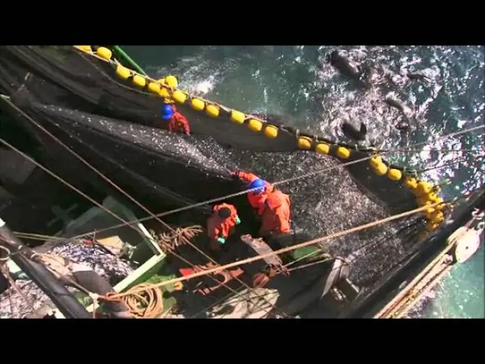 Watch film Planet Ocean — Planet Ocean: il trailer del film-documentario di Yann Arthus-Bertrand