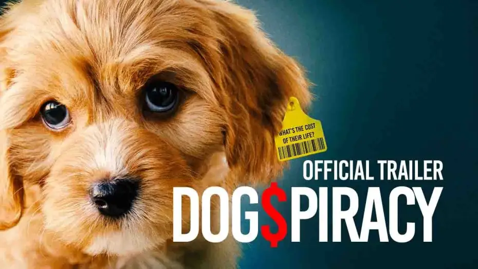 Watch film Dogspiracy — Trailer