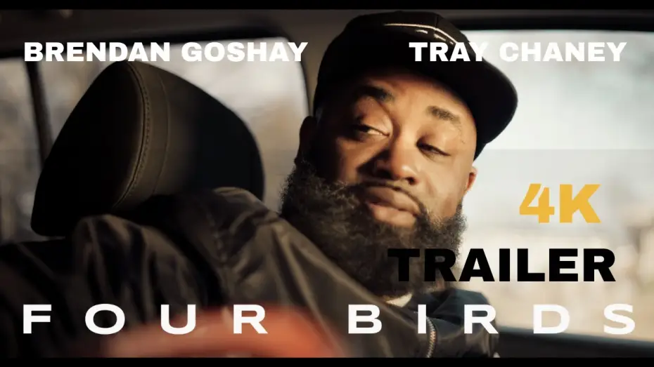 Watch film Four Birds — FOUR BIRDS - Official Trailer [4K]