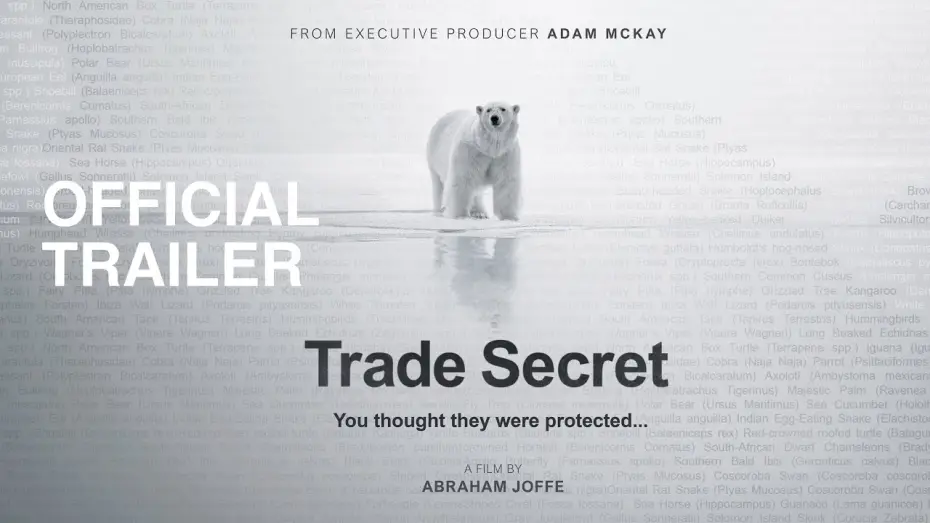 Watch film Trade Secret — Trade Secret | OFFICIAL TRAILER