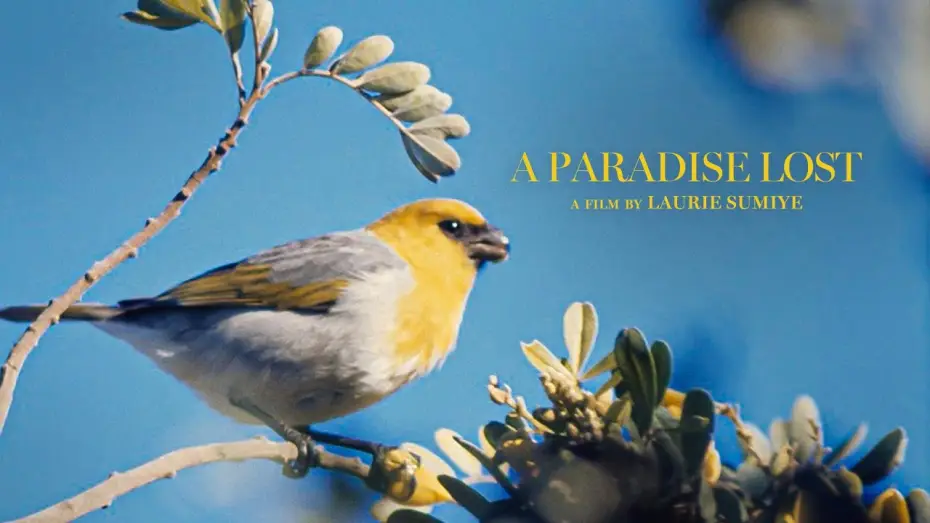 Watch film A Paradise Lost — A PARADISE LOST TRAILER