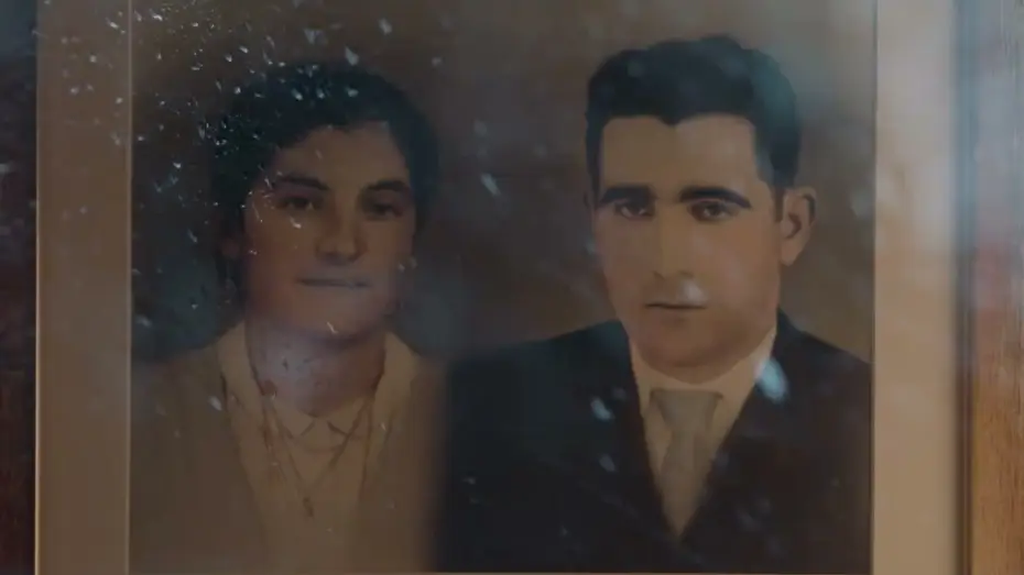 Watch film Il n'y aura jamais assez d'images — Il n'y aura jamais assez d'images (Nuncá havera imagens suficientes) / bande-annonce (2025)